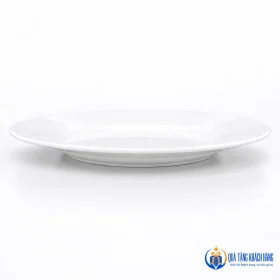 Góc nghiêng đĩa Minh Châu MC-D09 22cm