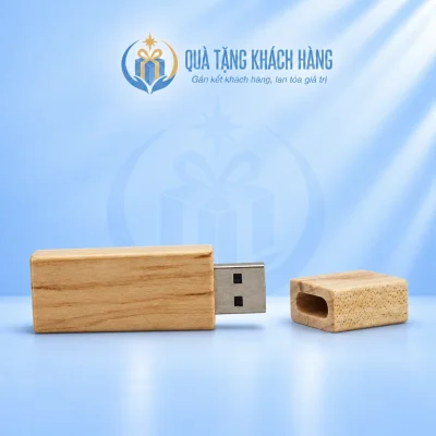 USB gỗ nắp rời UGV 006 8GB nhìn toàn mẫu